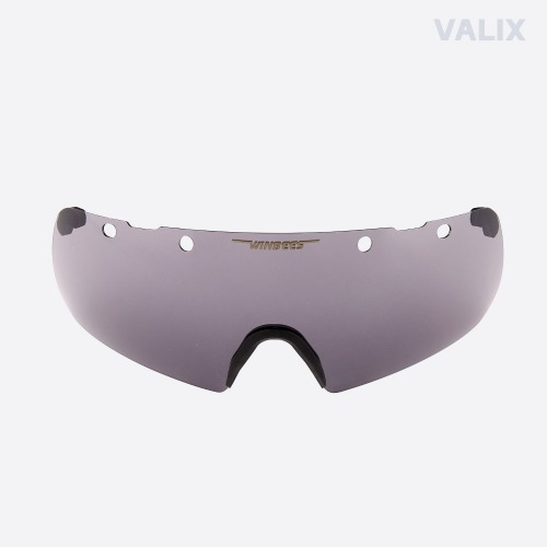 Own label brand [Replacement Lens] Smoke Black - VALIX